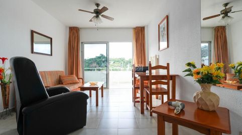 Foto 2 de Estudio en venta en San Eugenio Alto, Adeje