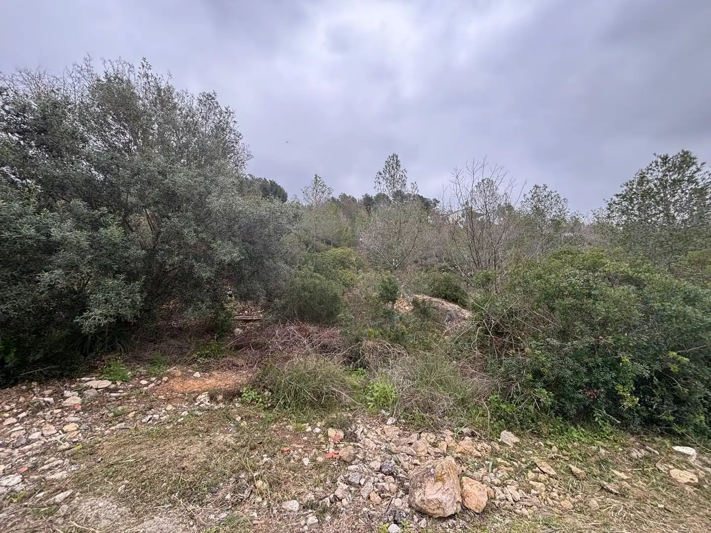 Terreny residencial en venda a Olivella, imagen 21