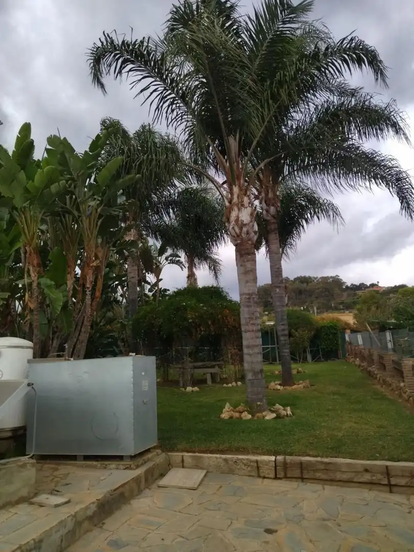 Jardí de Casa o xalet en venda en Estepona