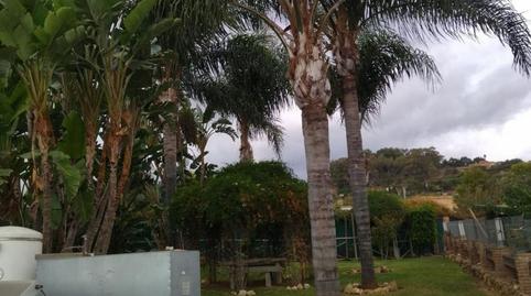 Foto 3 de Casa o xalet en venda a Avenida Avenida de San Eusebio, Zona Calvario, Málaga