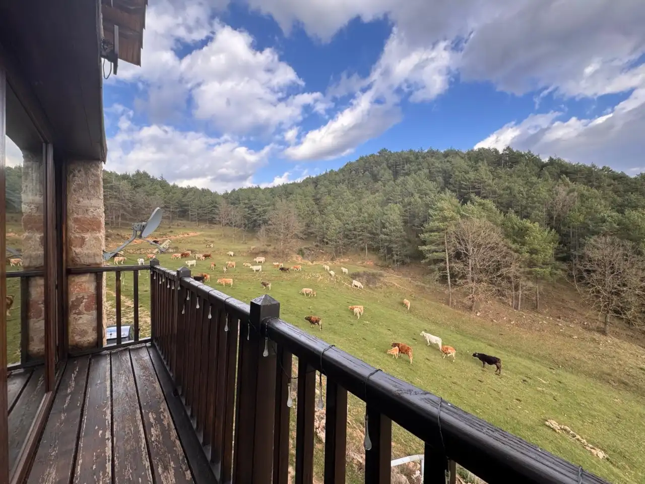 Country homes for sale in Ripoll  with Private garden, Parquet flooring and Terrace