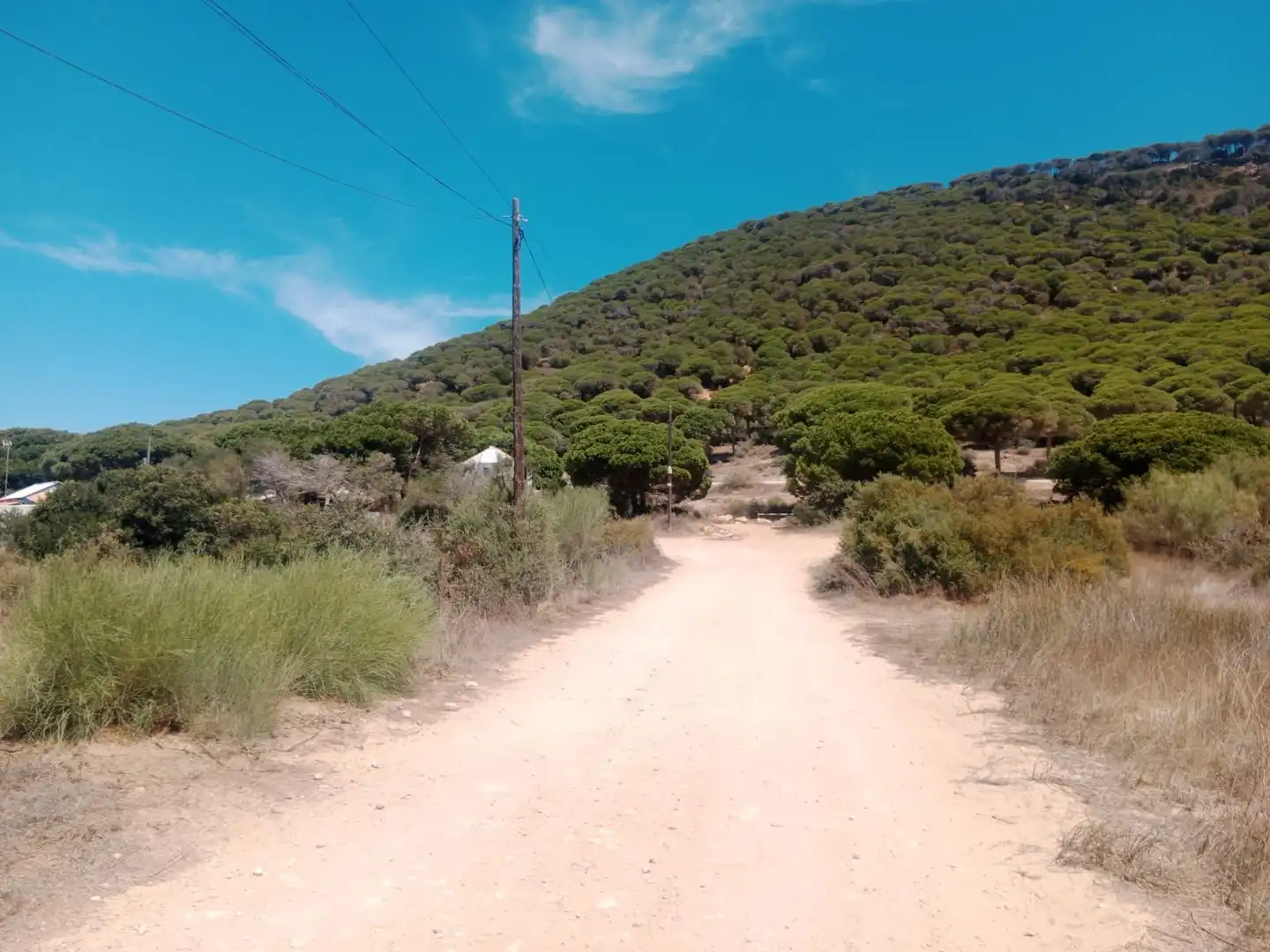 Rustikales Grundstück zum Verkauf in Las Lagunas - Campano, imagen 13