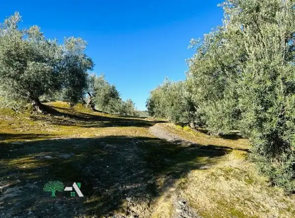 Terrenos y solares en venta en Úbeda, imagen 4