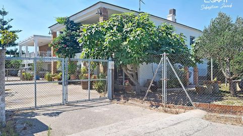 Foto 3 de Finca rústica en venta en Oliva Playa, Oliva