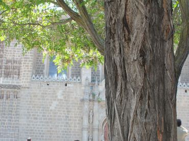 Maison avec jardin à vendre à San juan de los Reyes 2