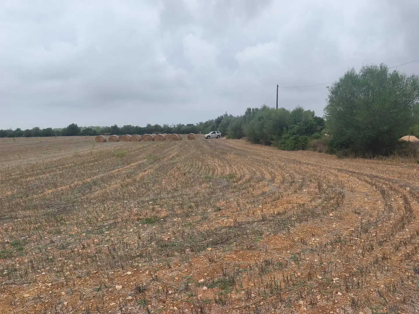 Terreny rústic en venda a Algaida, imagen 11