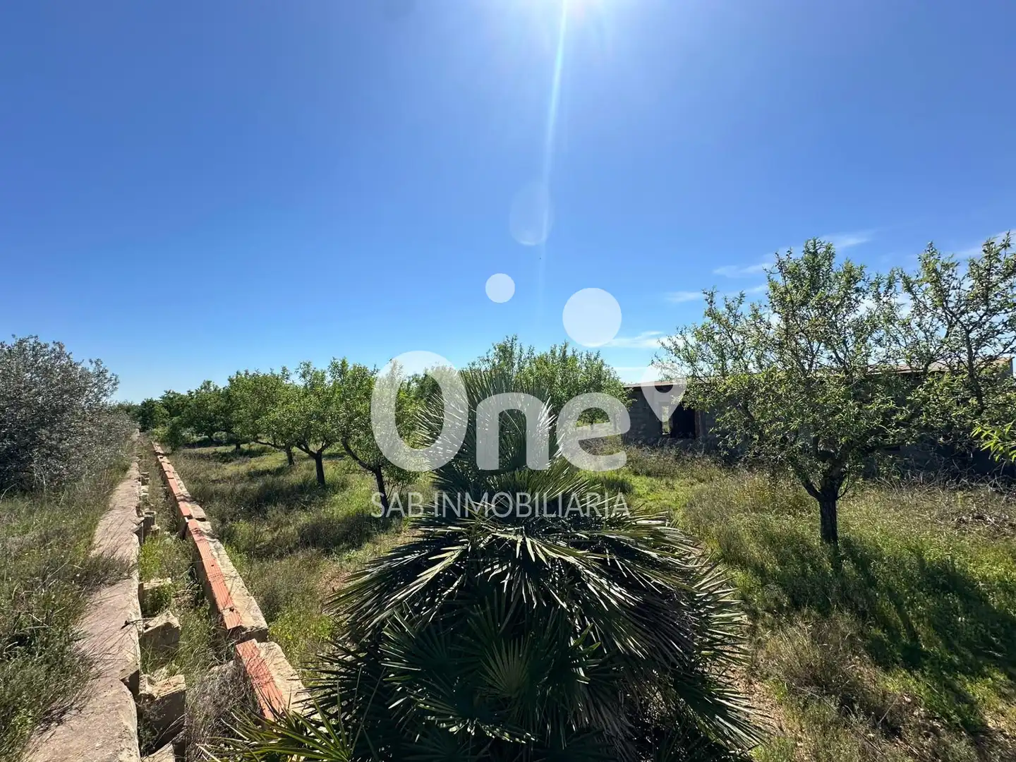 Terrain rustique à vendre à Diseminado-san Ant Benag 29, imagen 3