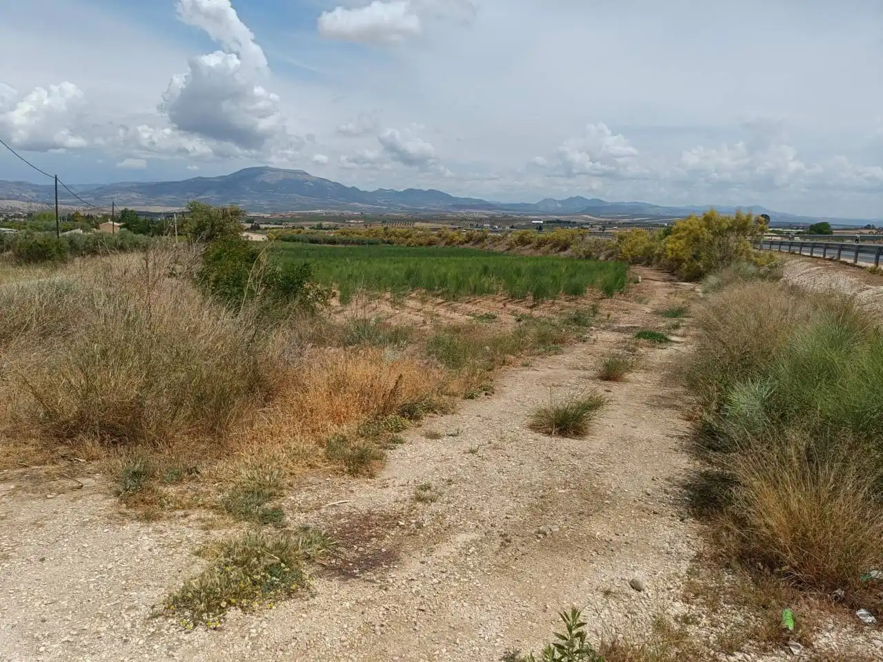 Rural land for sale in Moraleda de Zafayona, imagen 3