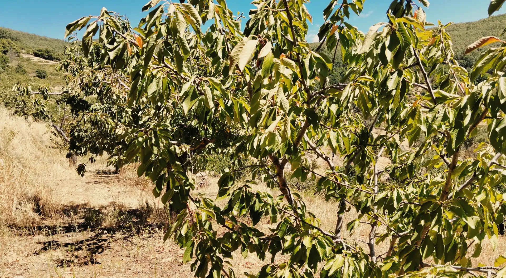 Terreni e lotti in vendita a N/A, imagen 25