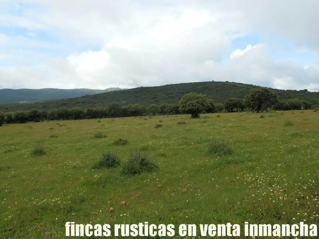 Terreno rústico en venta en Abenójar, imagen 12