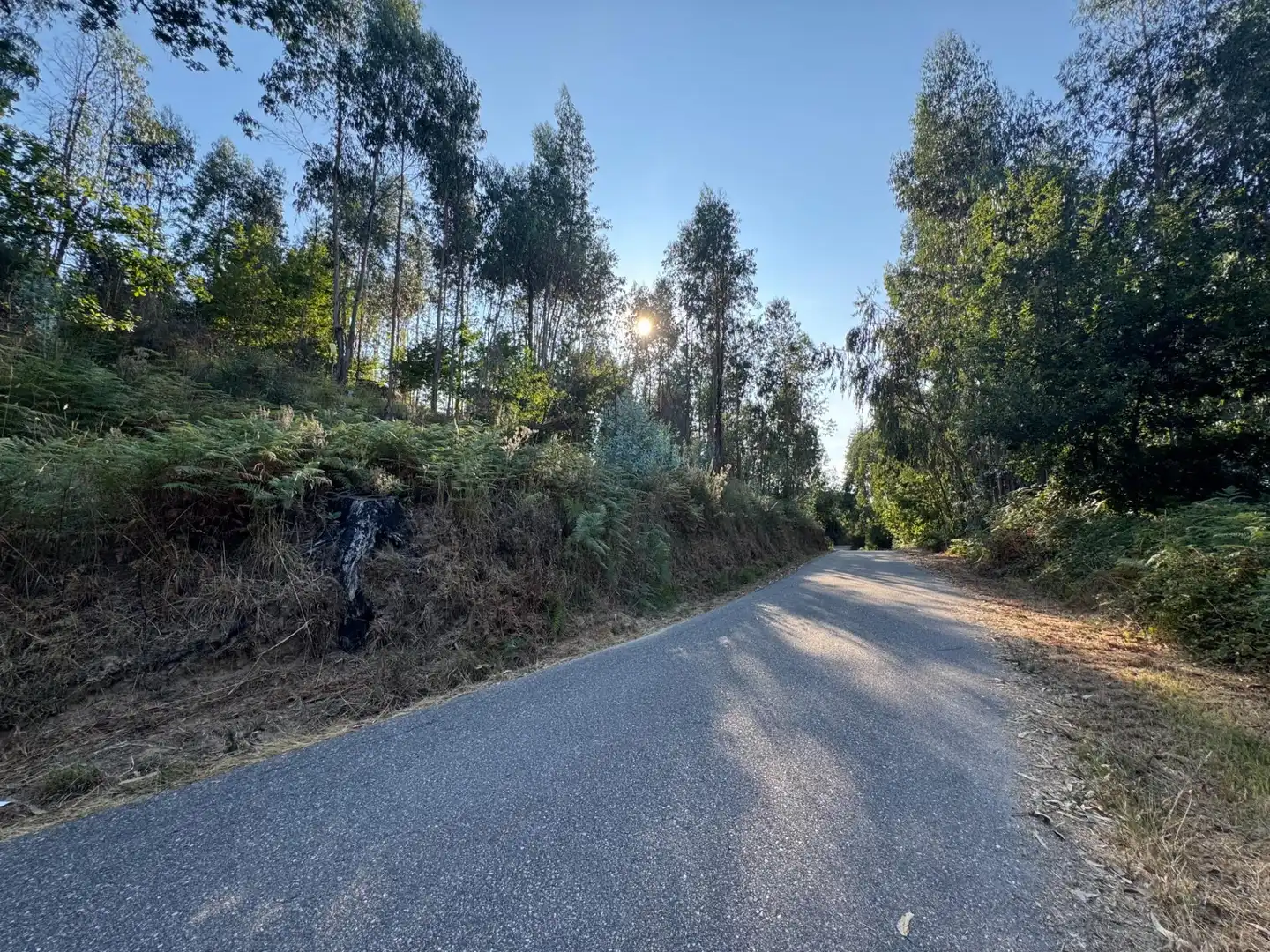 Lands and plots for sale in Lugar EIDO VELLO-BUDIÑO, imagen 6