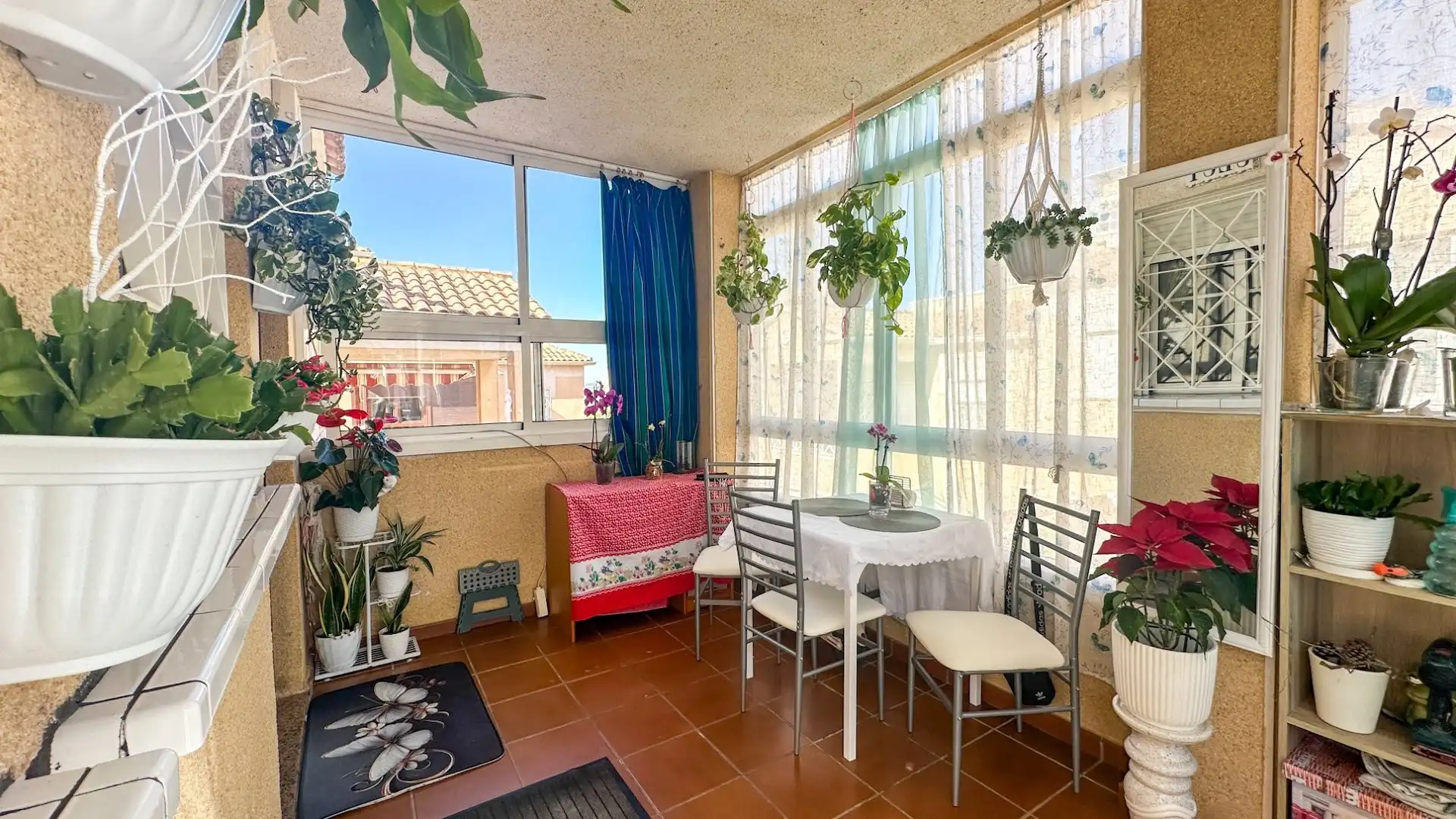 Terrassa de Apartament en venda en Torrevieja amb Moblat