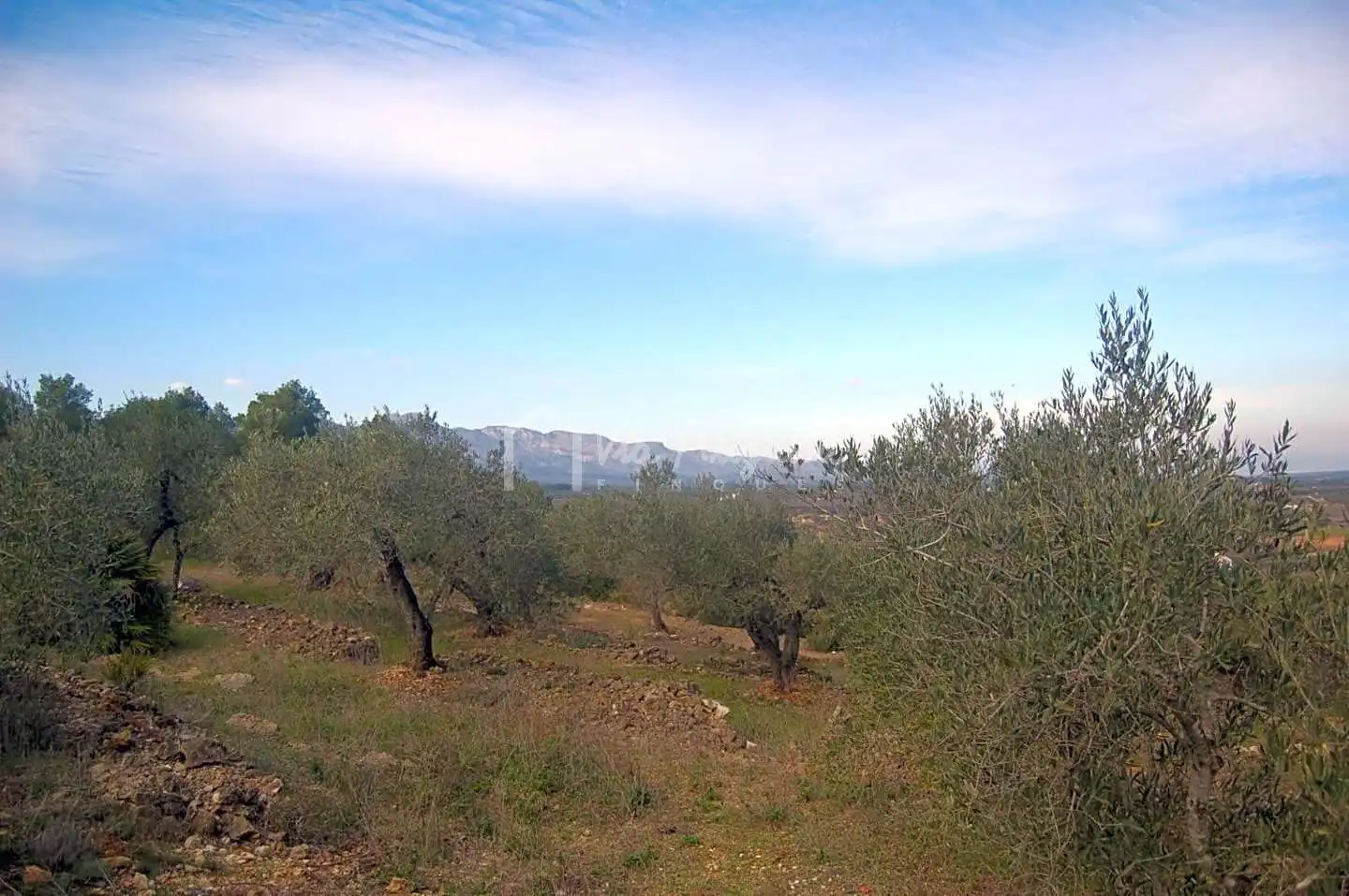 Terreno rustico in vendita a Burgar, imagen 19