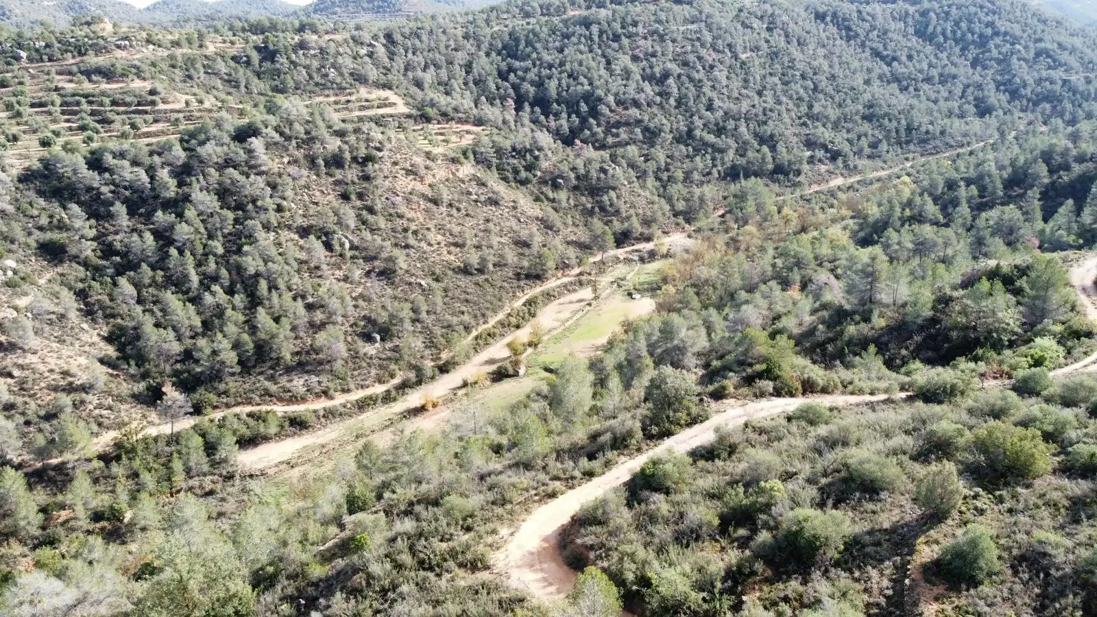 Terreno rustico in vendita a Cervià de Les Garrigues, imagen 43