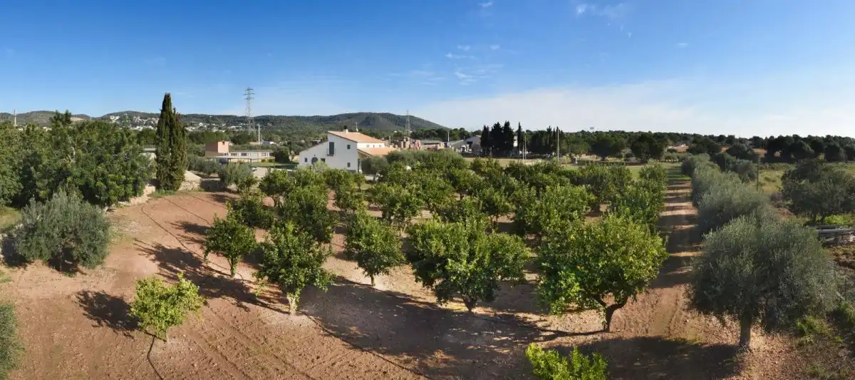Vista exterior de Finca rústica en venda en Roda de Berà amb Aire condicionat, Calefacció i Jardí privat