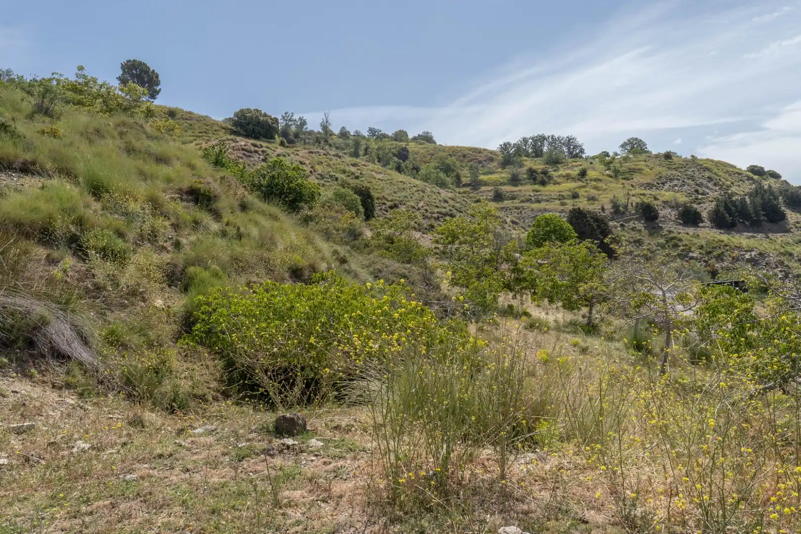 Terreno en venta en Soportújar