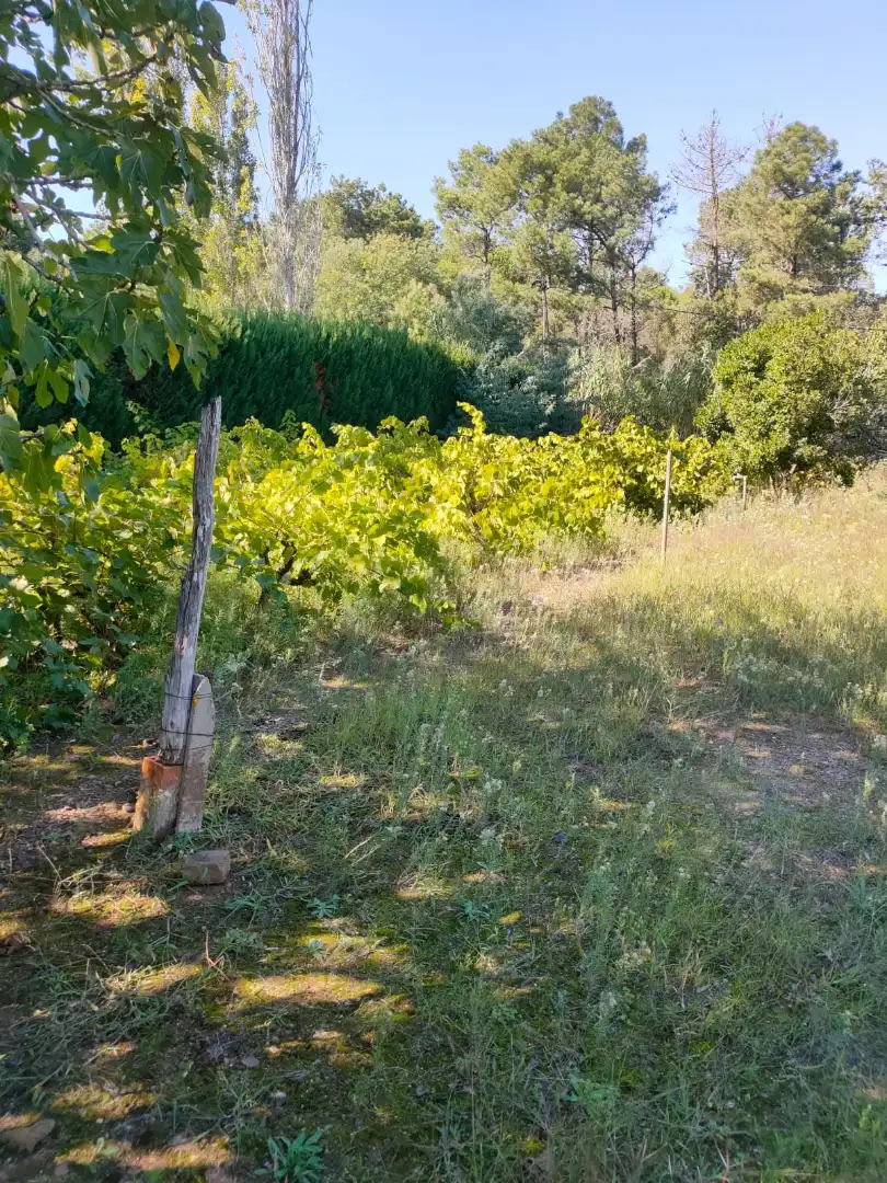 Finca rústica en venta en Mont-ras