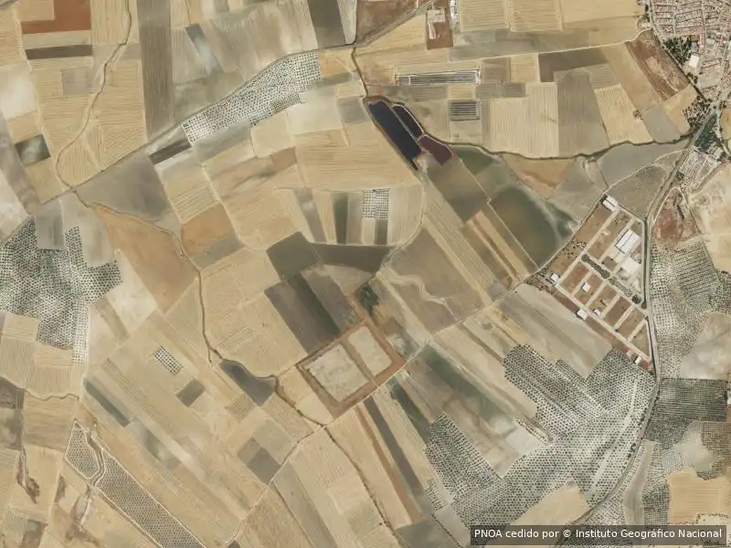 Appartamento in vendita a Marchena, imagen 4