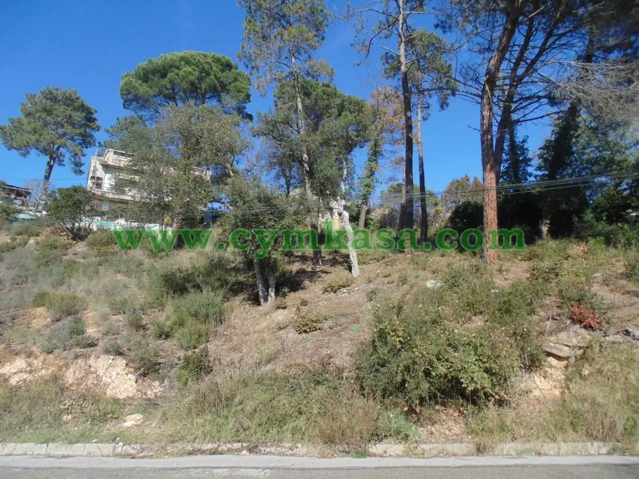 Terreno rustico in vendita a Residencial Park, imagen 2