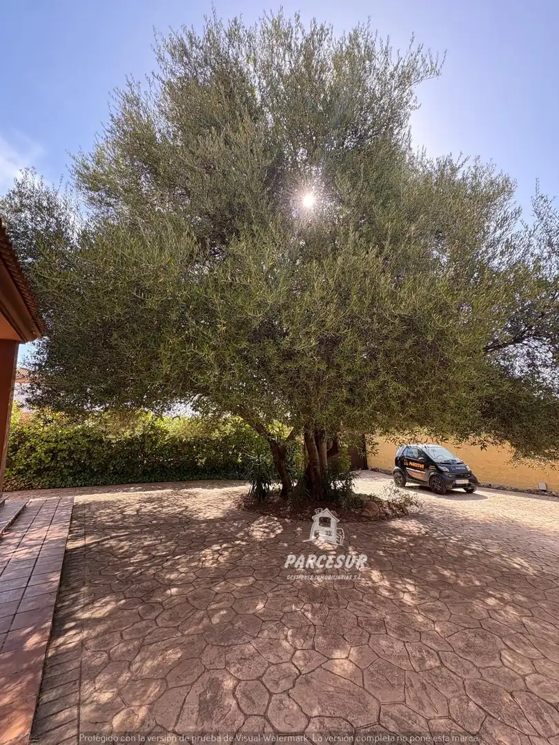 Haus mit Pool zum Verkauf in Almodóvar del Río, imagen 40