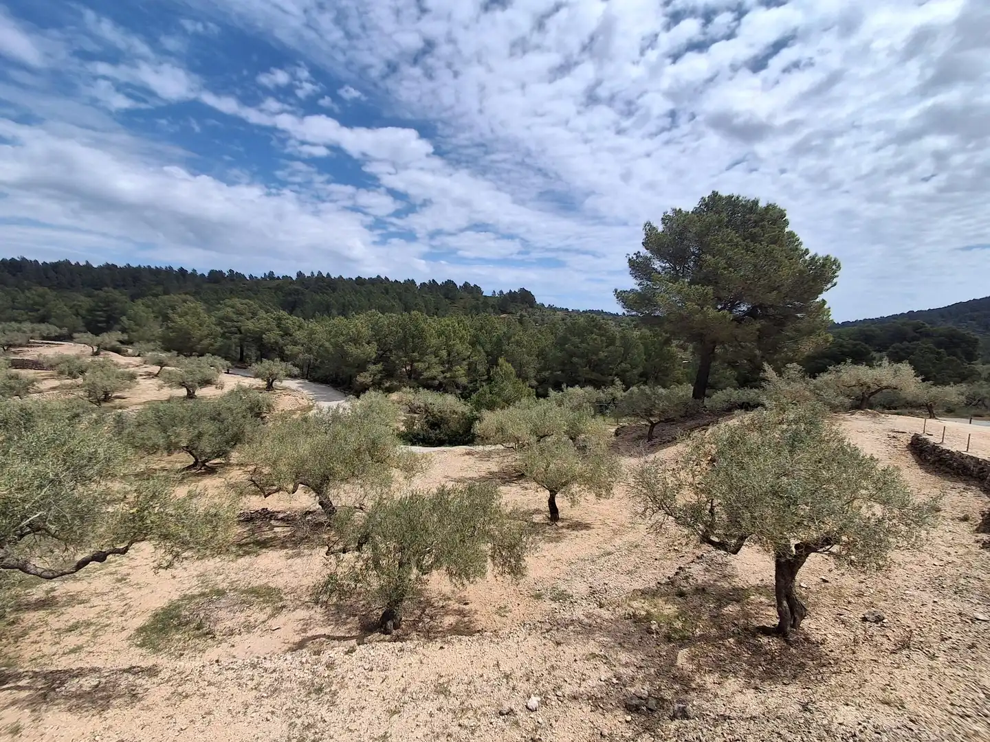 Terreno rustico in vendita a El Perelló, imagen 44