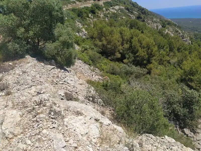 Terreno rustico in vendita a Alcossebre