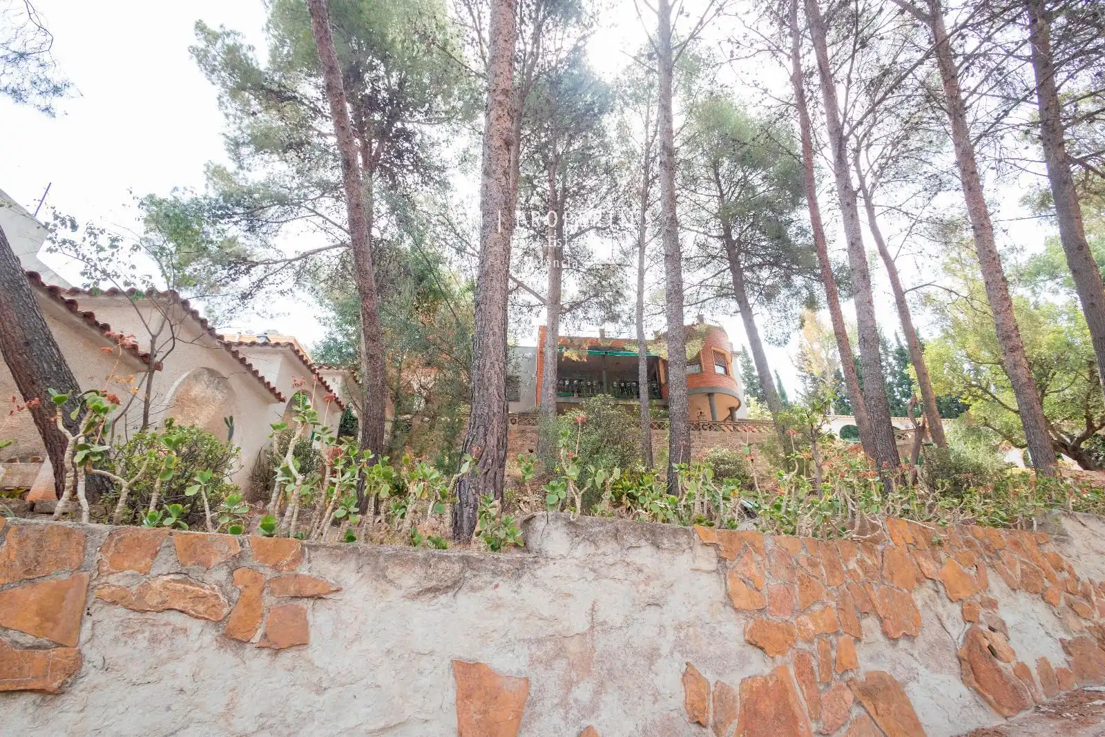 Vista exterior de Casa o chalet en venta en Náquera con Aire acondicionado, Terraza y Piscina