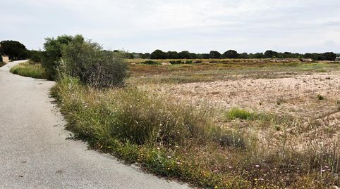 Foto 2 de Residencial en venta en Valverde, Elche / Elx