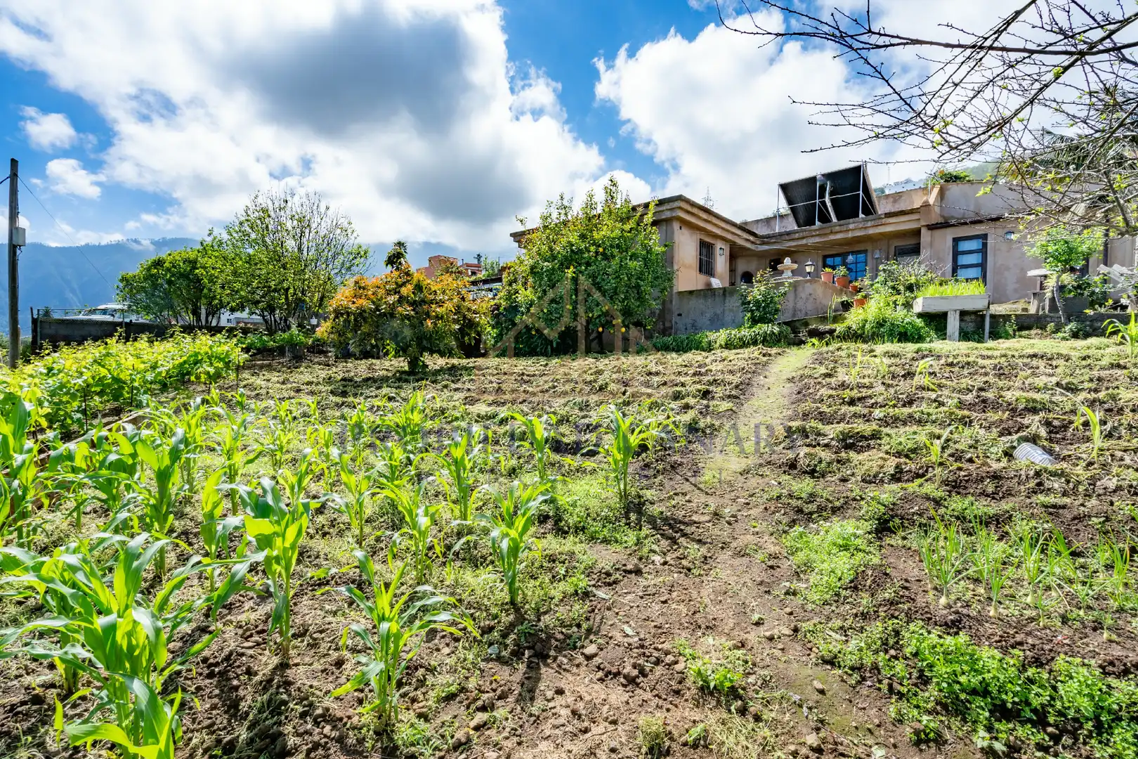 Casa rústica con jardín en venta en La Perdoma - San Antonio - Benijos, imagen 29