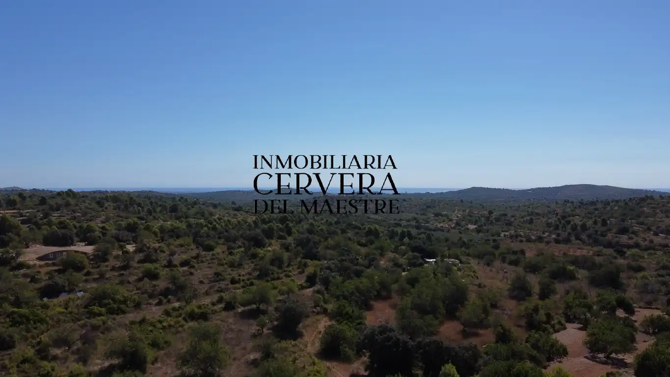 Terreno rustico in vendita a Cervera del Maestre, imagen 2
