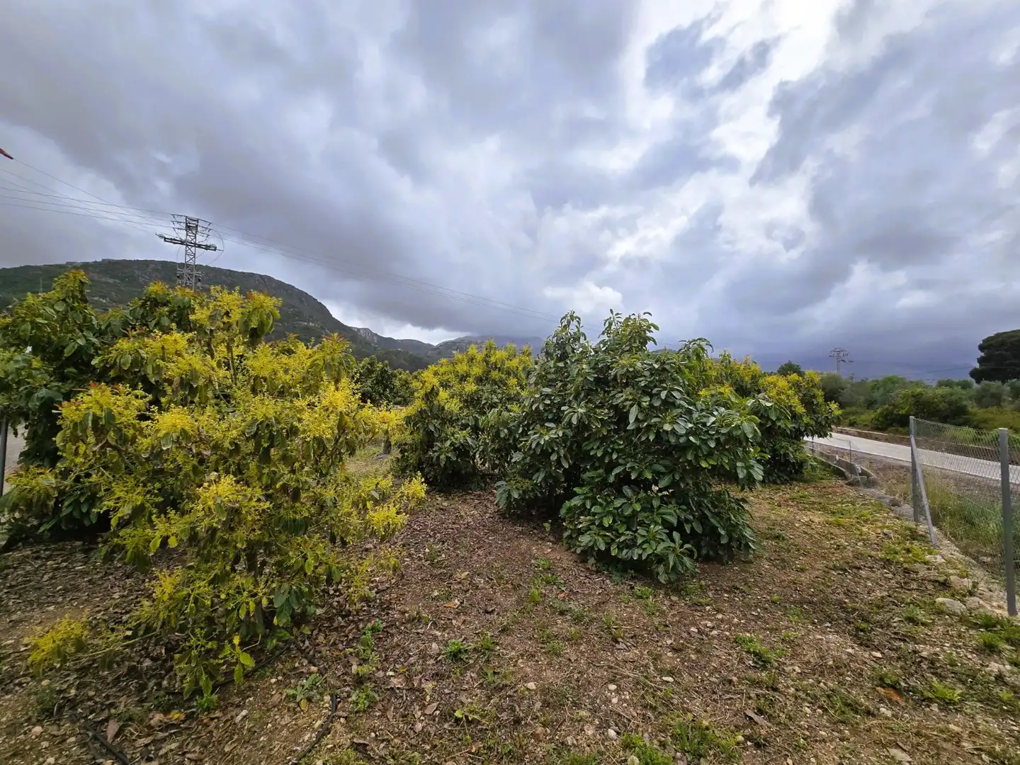 Residencial en venda en Pego