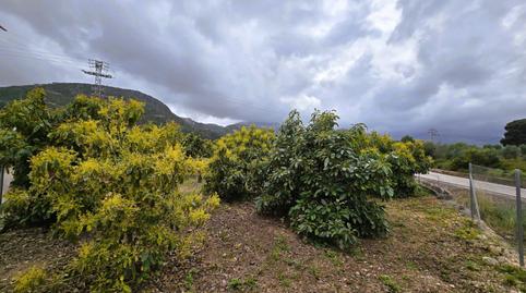 Photo 5 of Residential for sale in Pego, Alicante