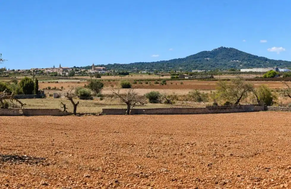 Terreny residencial en venda a Ariany, imagen 13