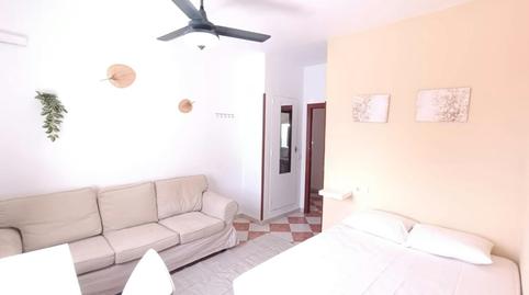 Foto 2 de Piso para compartir en N/a, Sector Sur  - La Palmera - Reina Mercedes,  Sevilla Capital