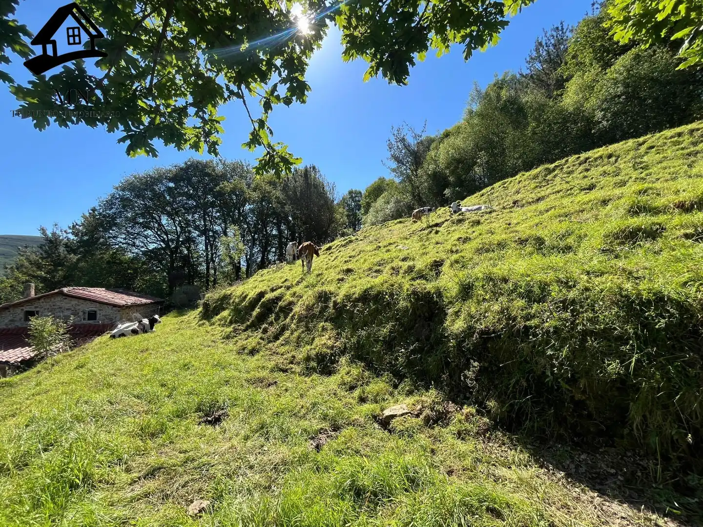 Casa rústica en venta en Selaya, imagen 35