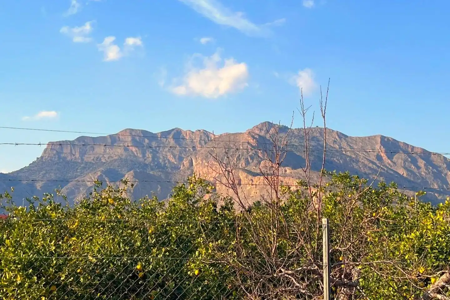 Vista exterior de Casa o xalet en venda en Orihuela amb Aire condicionat, Calefacció i Jardí privat
