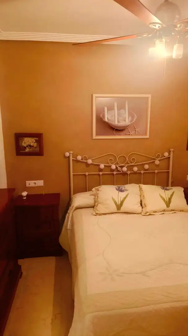 Casa a schiera con terrazza in vendita a Calle Hilario Camacho, imagen 37
