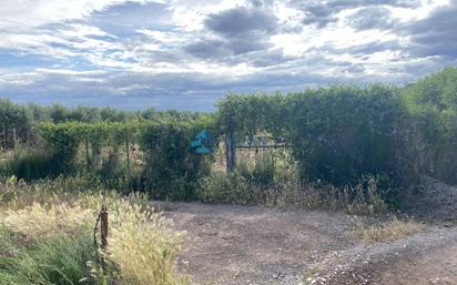 Finca rústica en venda en Castellón de la Plana / Castelló de la Plana