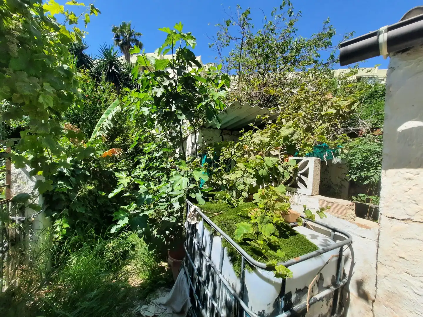 Garden of Residential for sale in Torremolinos