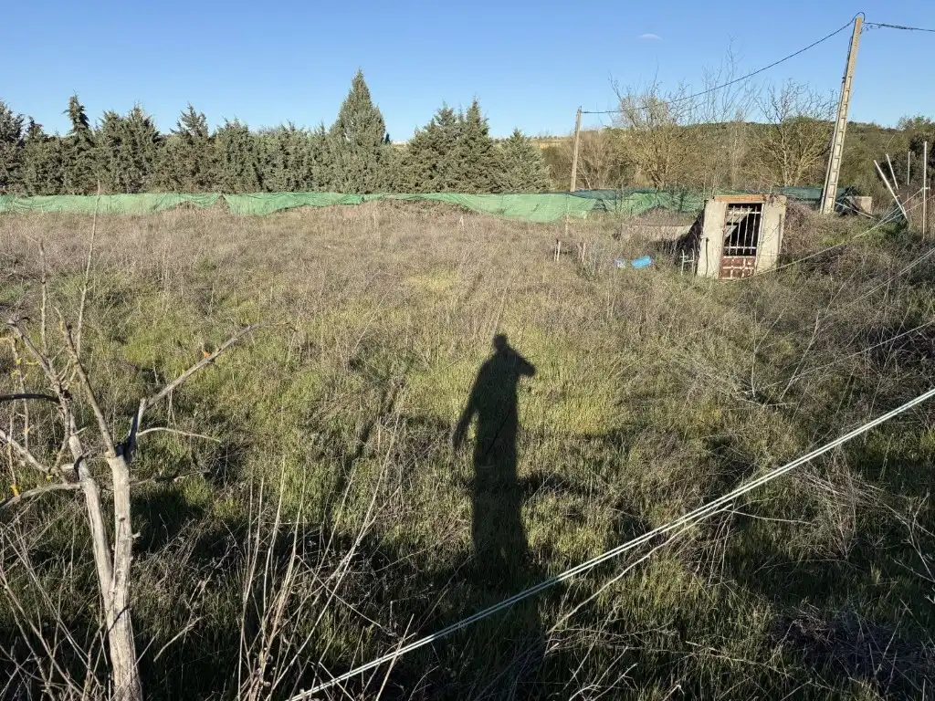 Finca rústica en venta en Navalcarnero