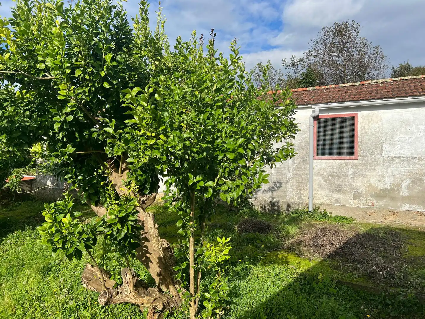 Casa con jardín en venta en Lugar Catasol, imagen 14