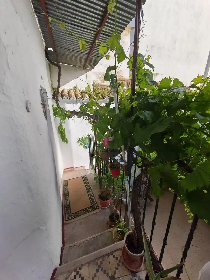 Jardín de Casa o chalet en venta en Écija con Terraza y Balcón