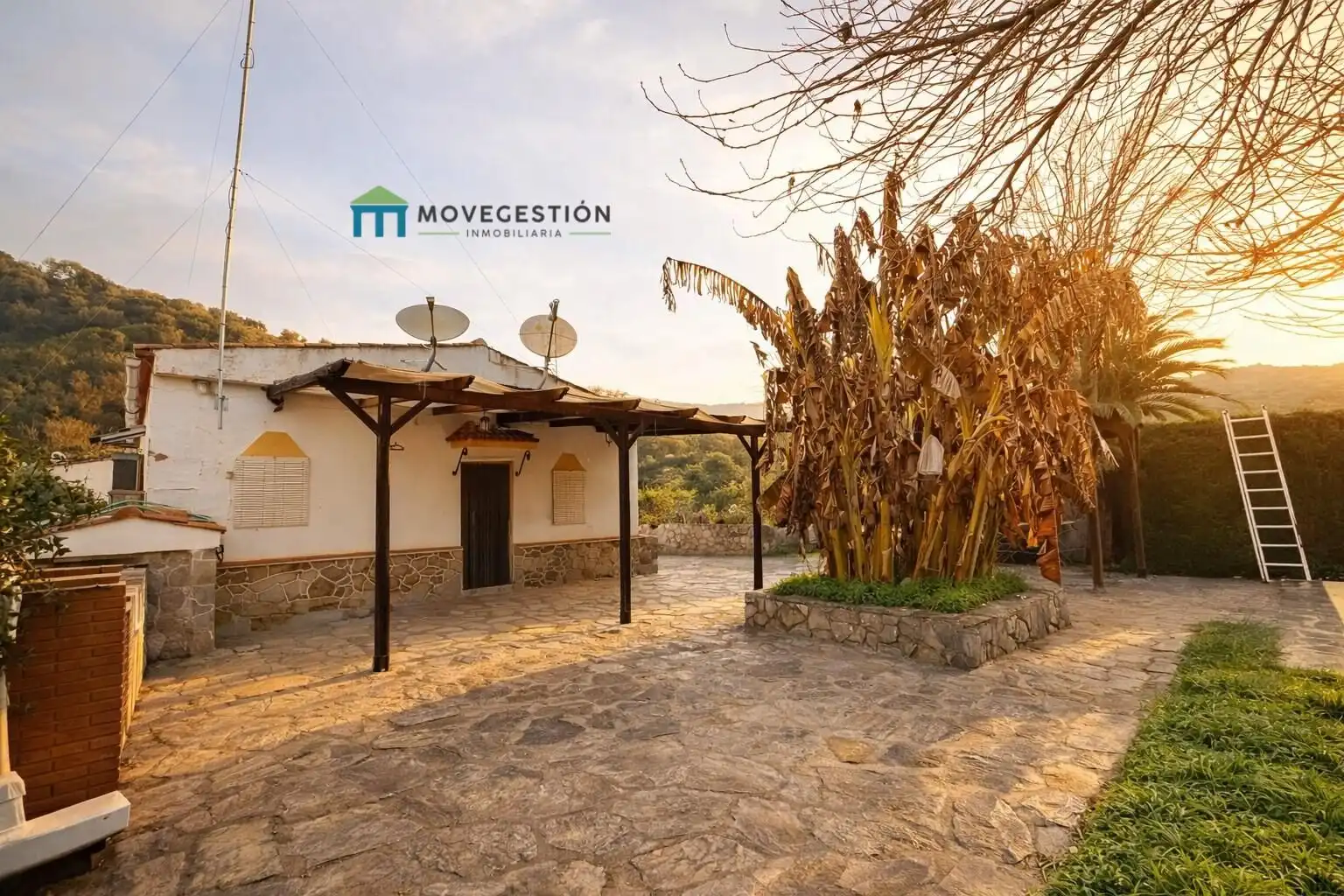 Vista exterior de Finca rústica en venta en Benaocaz
