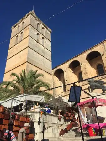 Terreny rústic en venda a Sineu, imagen 19