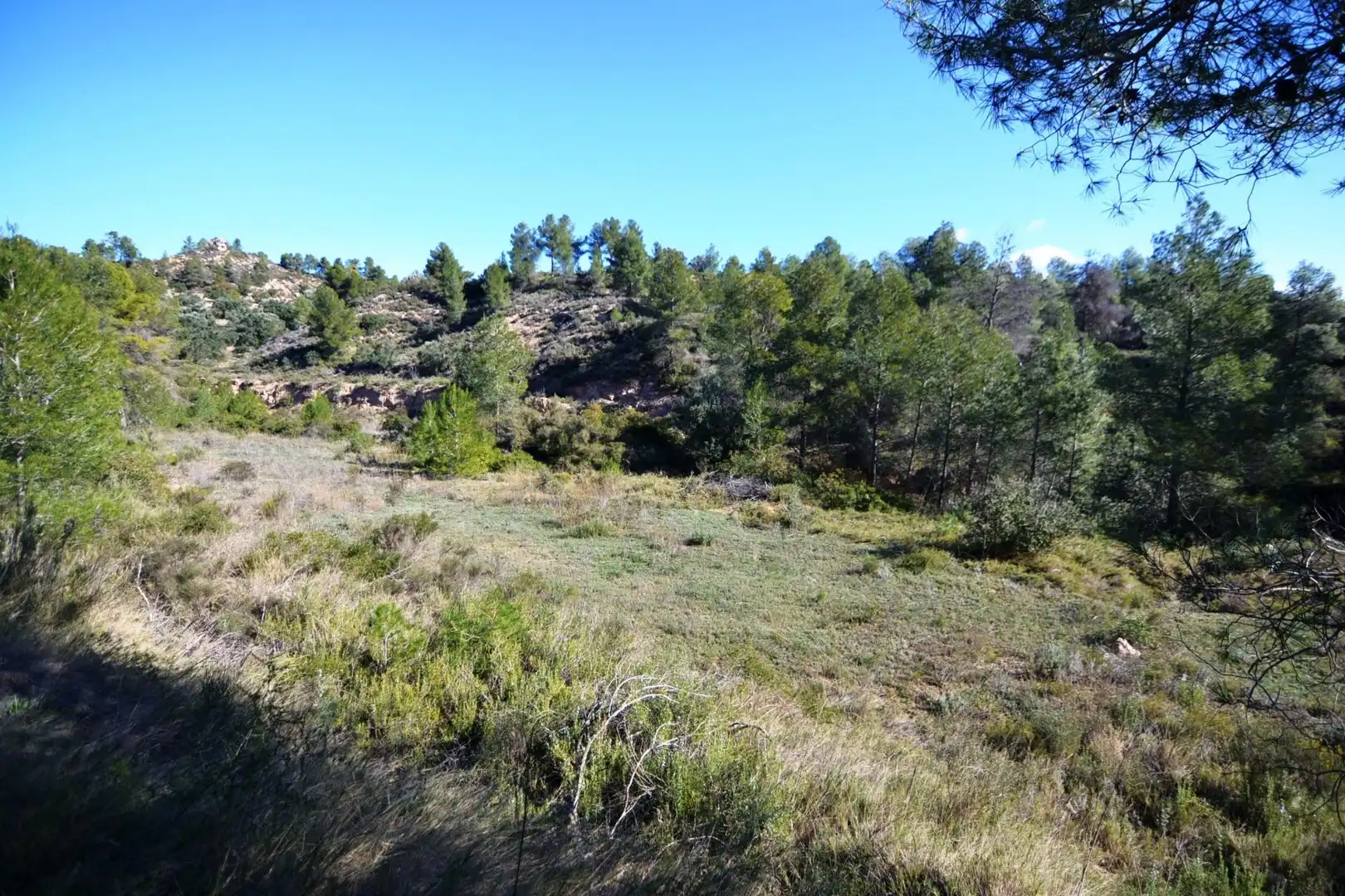 Rural land for sale in Ascó, imagen 13