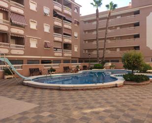 Swimming pool of Study to rent in Santa Pola  with Swimming Pool