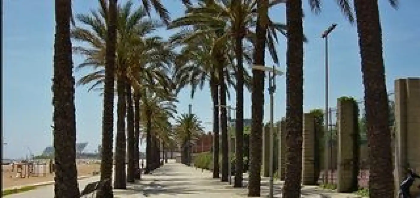 Exterior view of Residential for sale in Sant Adrià de Besòs