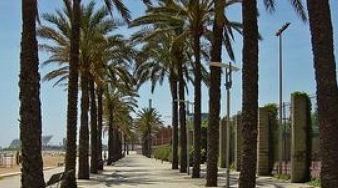 Foto 5 de Residencial en venta en Sant Joan Baptista, Sant Adrià de Besòs