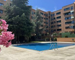 Swimming pool of Apartment to share in  Madrid Capital  with Air Conditioner and Terrace