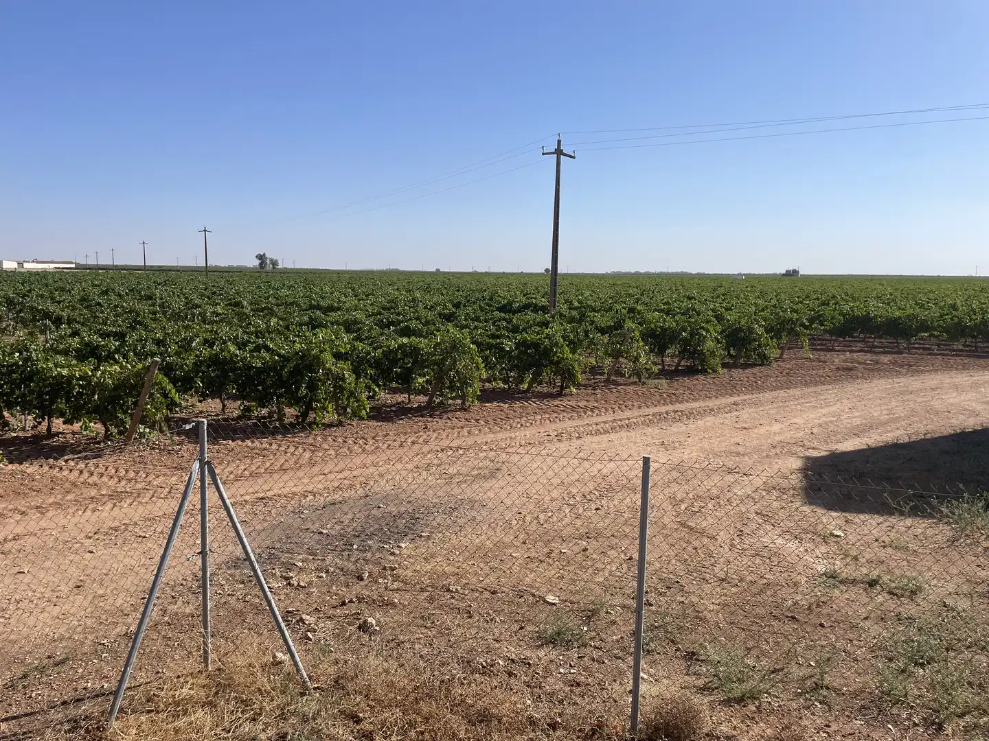 Rural land for sale in Argamasilla de Alba, imagen 6